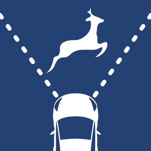 Démontrer des capacités d’anticipation