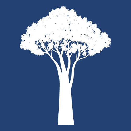 Quid de l’écologie à bord ?